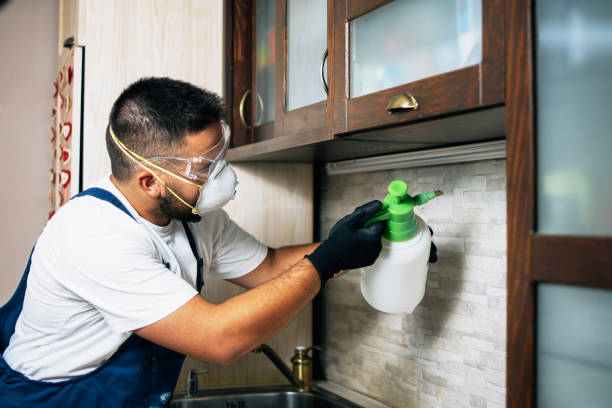 Best Rat Extermination Near Me  in Newburgh, IN