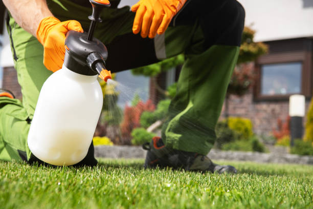 Best Local Pest Control Services  in Newburgh, IN