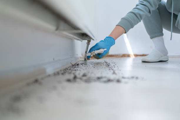 Best Bed Bug Extermination  in Newburgh, IN